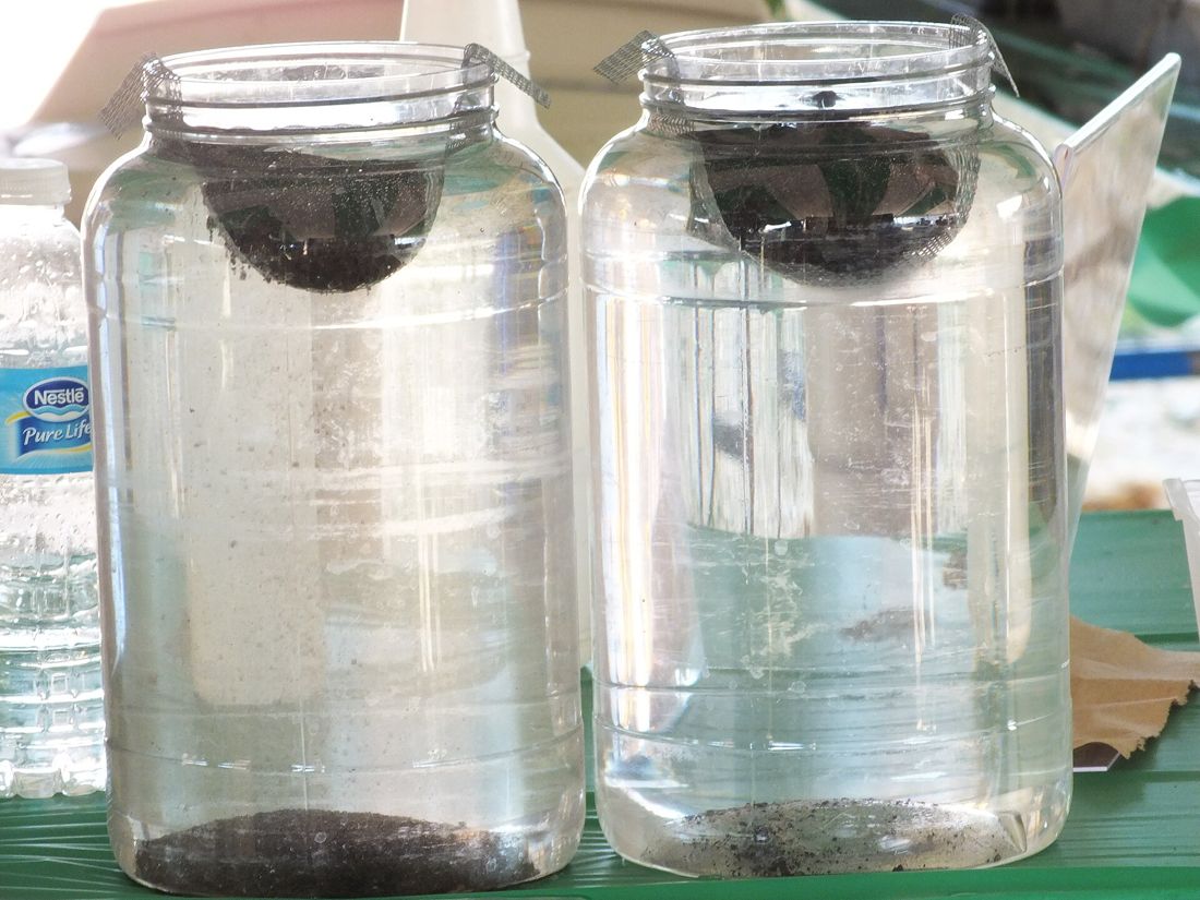Two jars of water with a soil clod in each: the left one has collapsed, the right one holds together